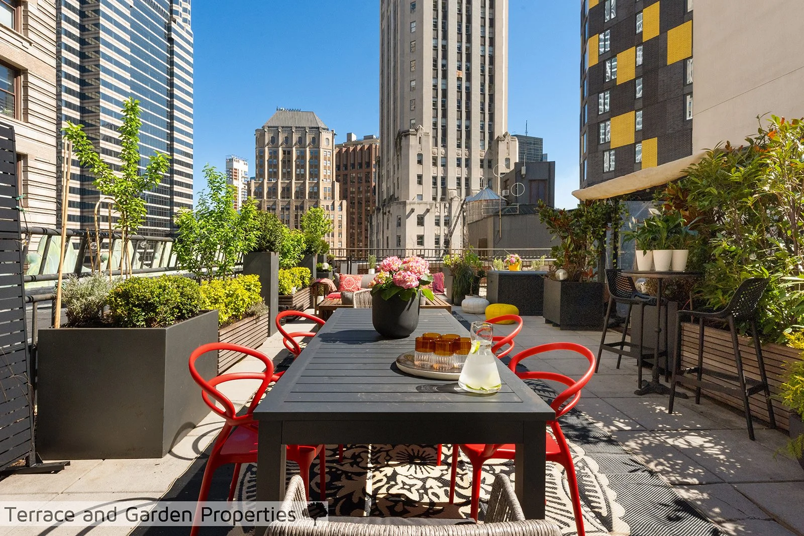 3- DSC06074_MEDIUM_RES.jpg