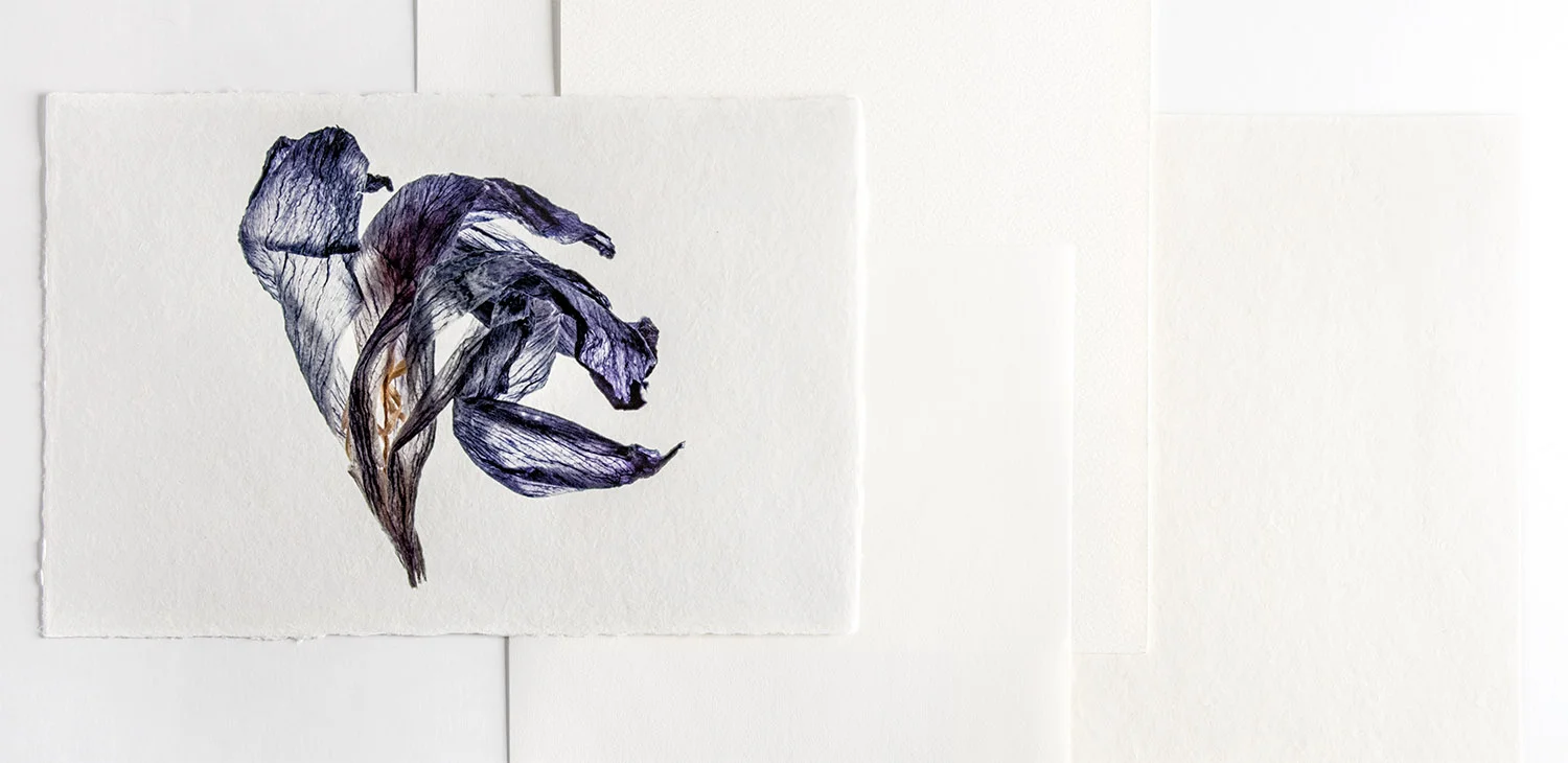 fine art inkjet paper