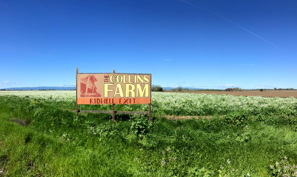 The Collins Farm, Dixon CA