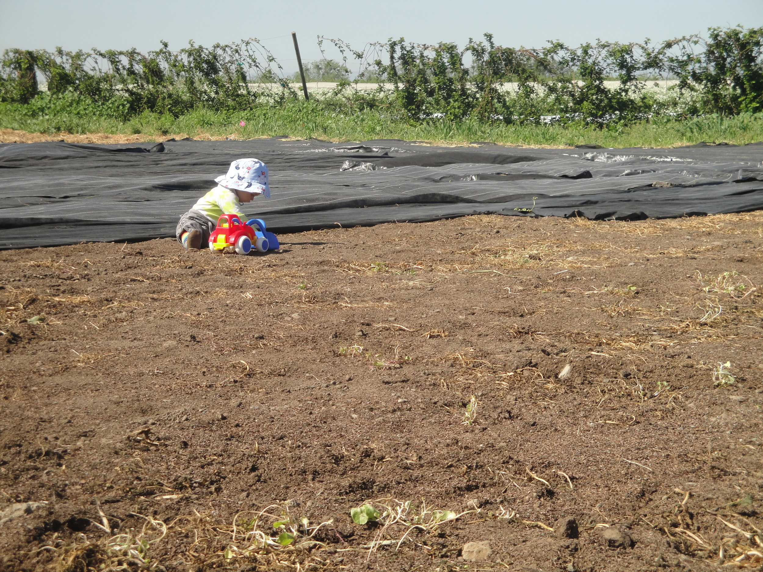 Nalin enjoyed the field for his tractor of course.