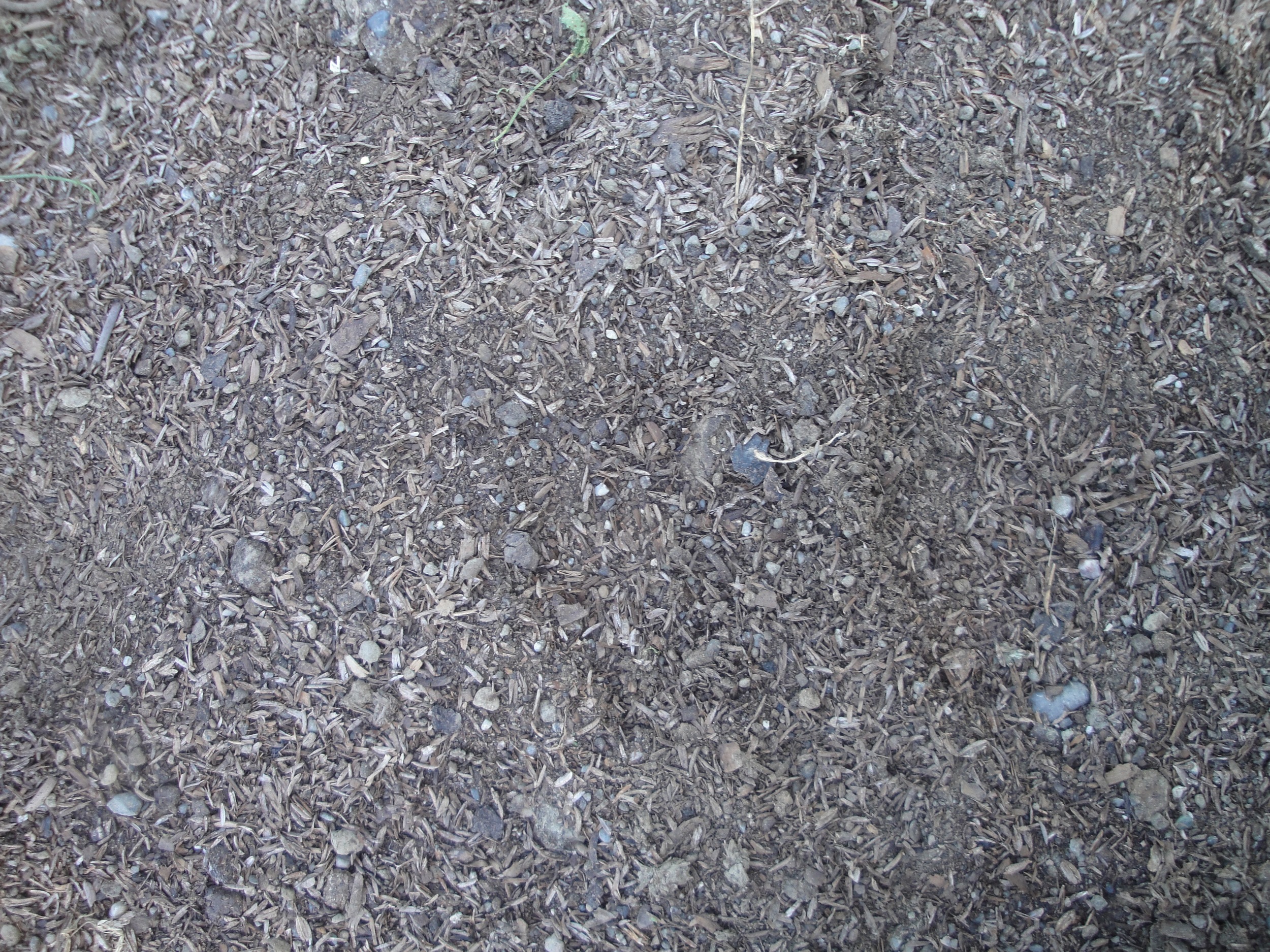 Flower Mama farm soil