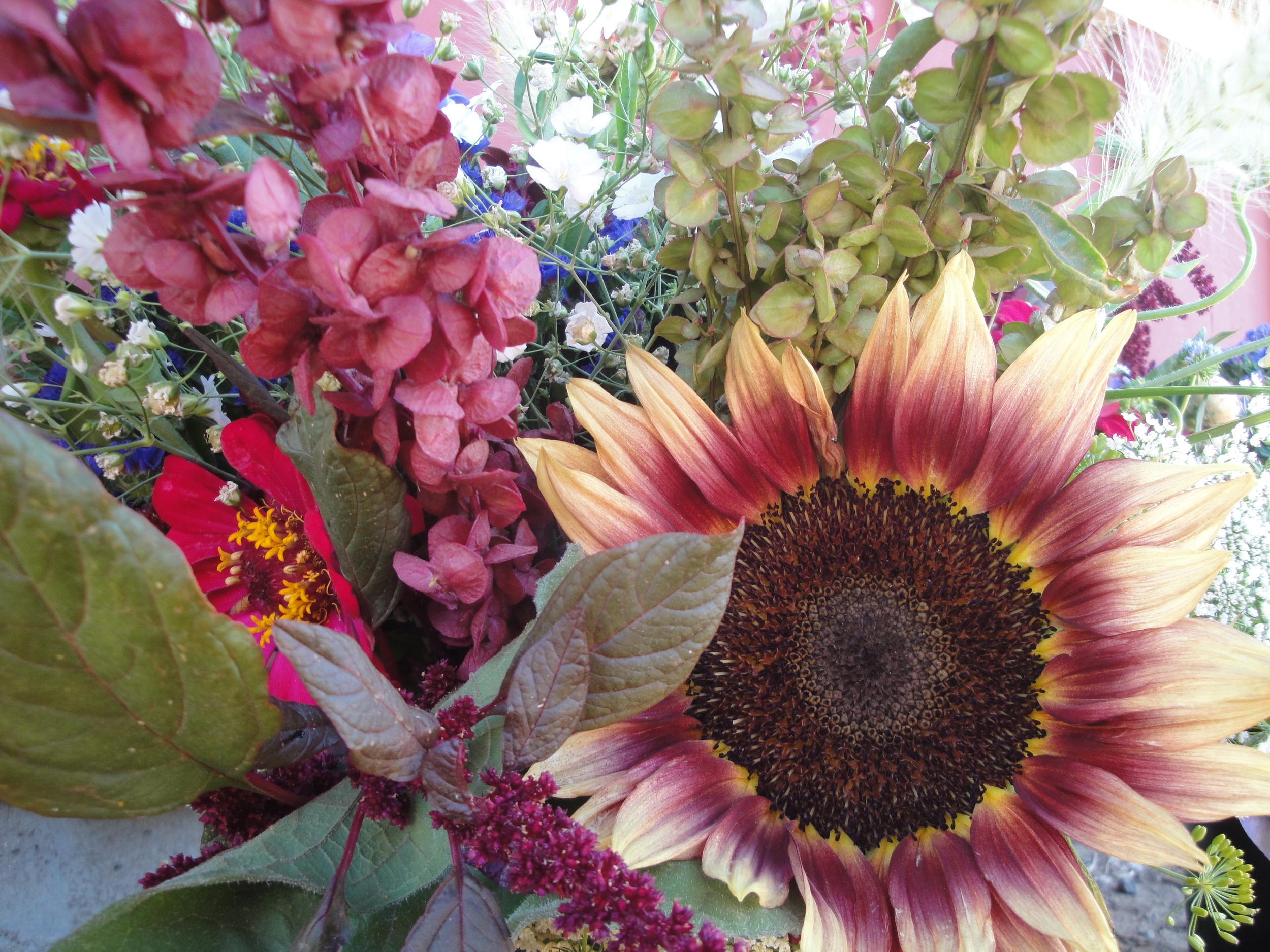 Gypsy Charmer Sunflower in a mixed bouquet