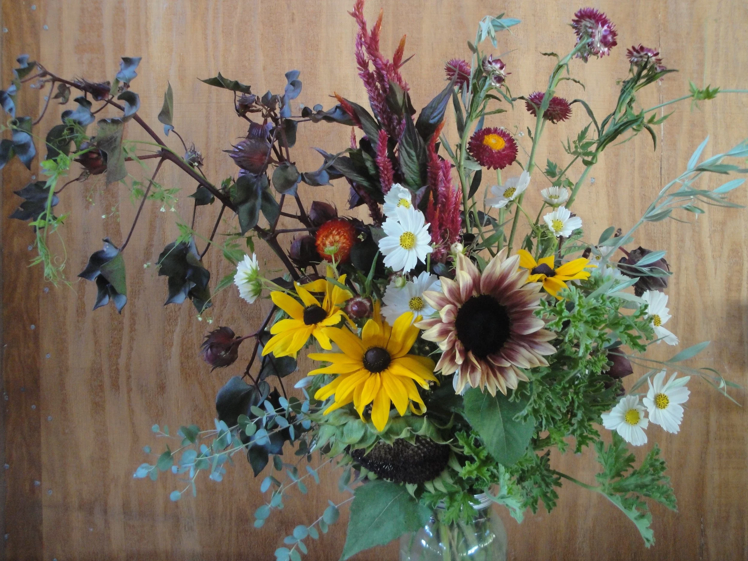 DSC08556.jpg