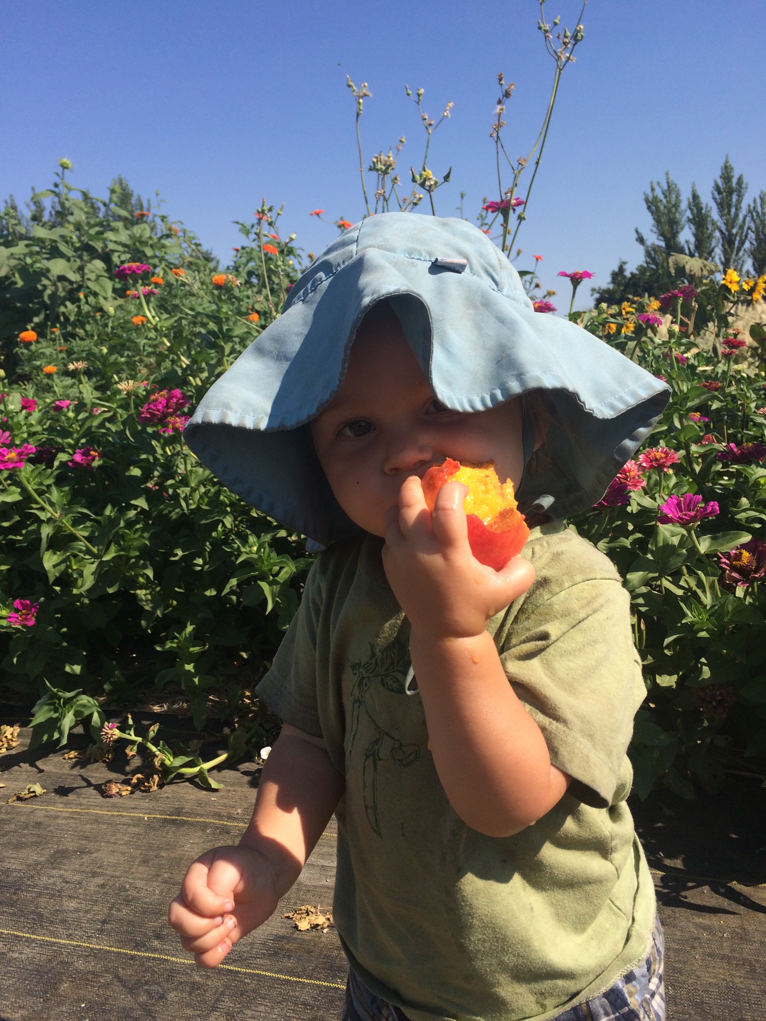 Nalin enjoying a summer peach snack on the farm