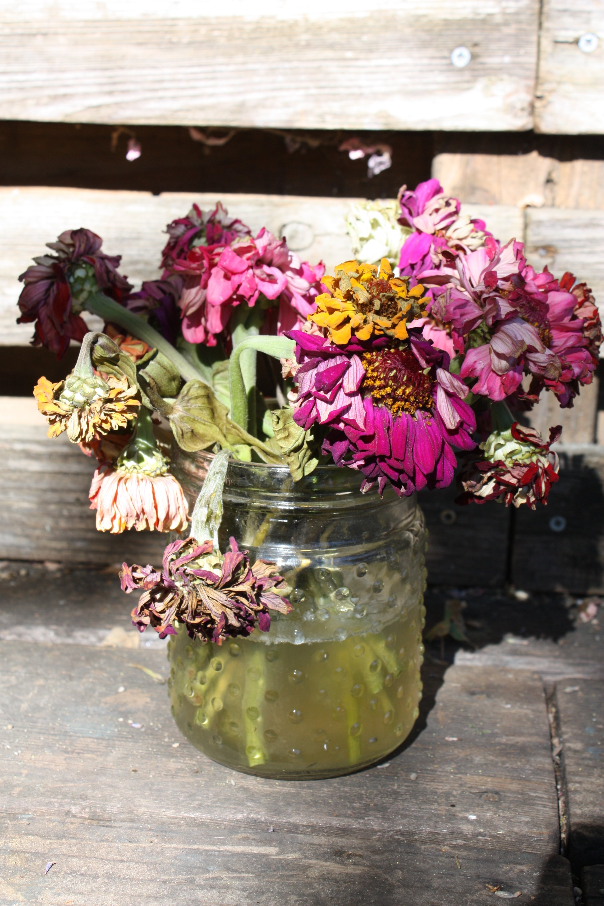 How To Maximize Vase Life Flower Mama