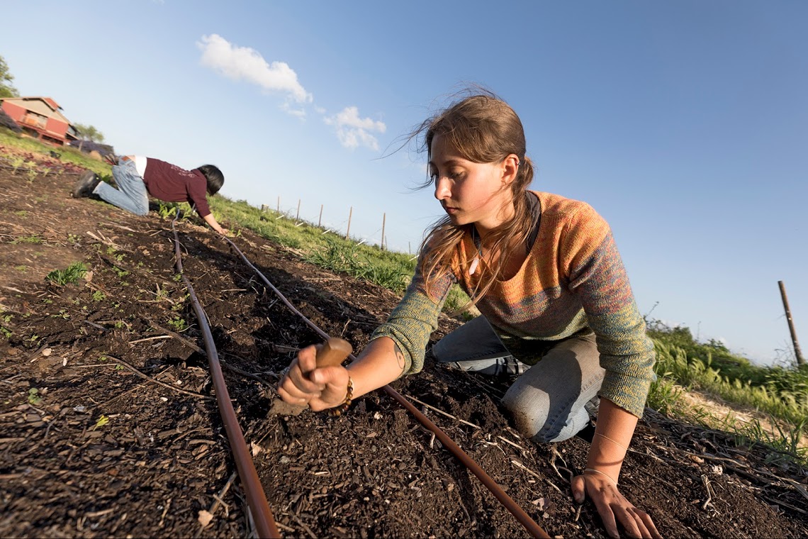 planting.jpg