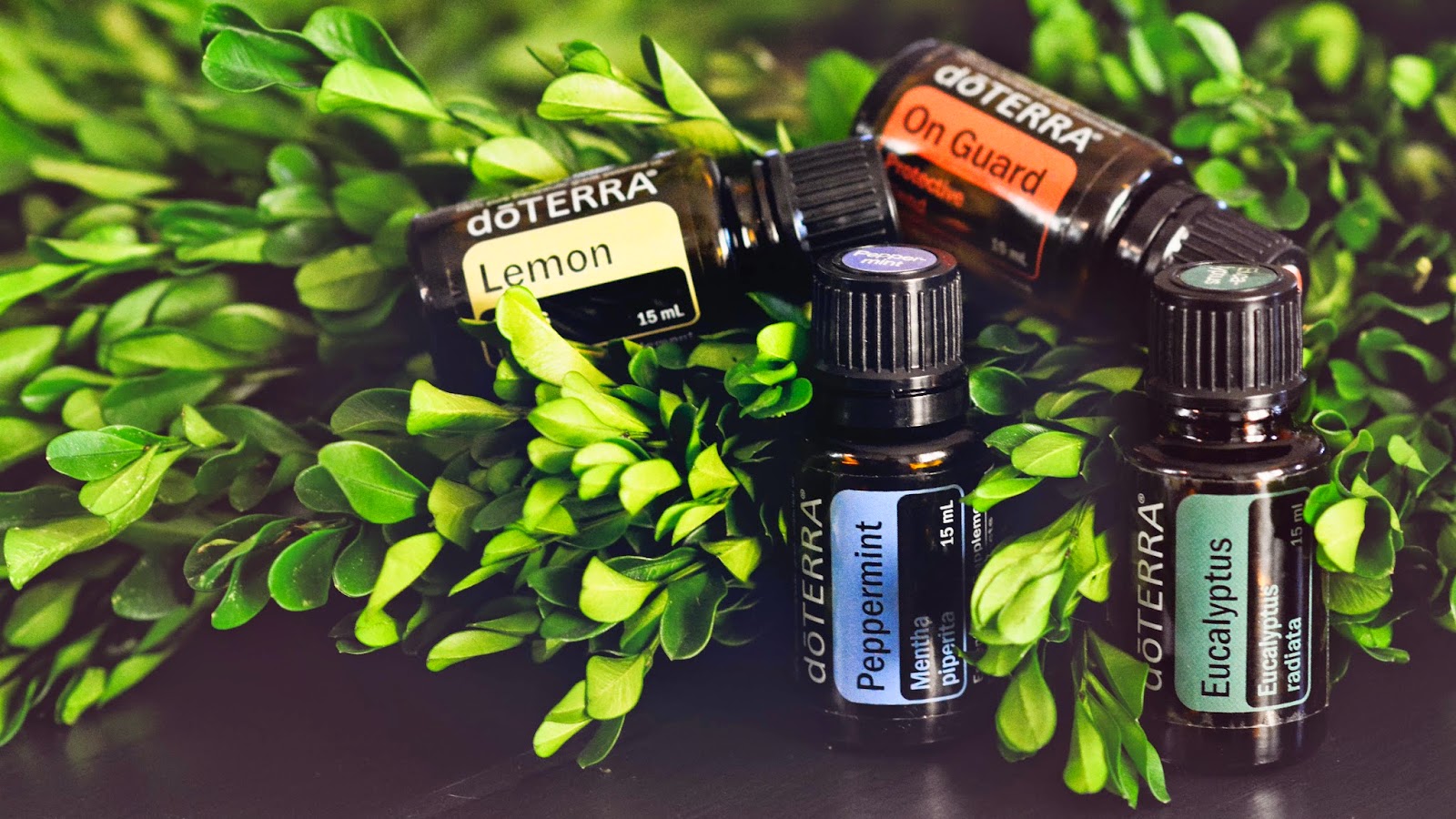 doterra.jpg