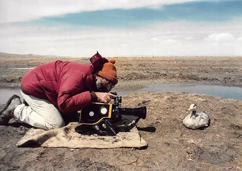 Larry Zetlin silming a duck in North-Western China. Photographer unknown