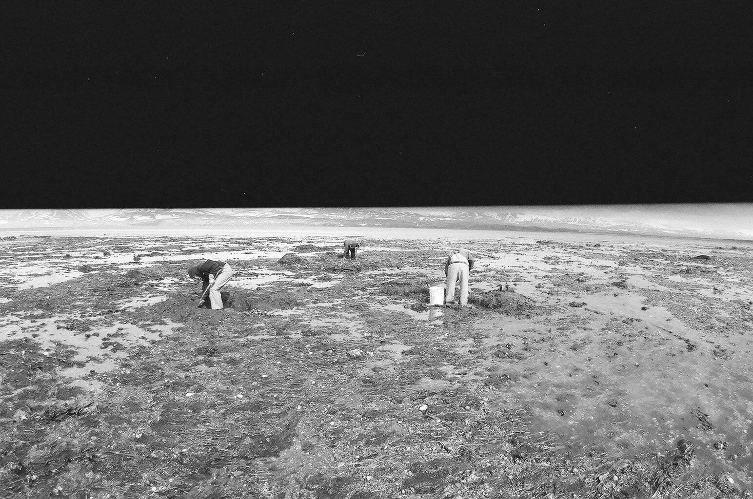 02380002-2 2.jpg