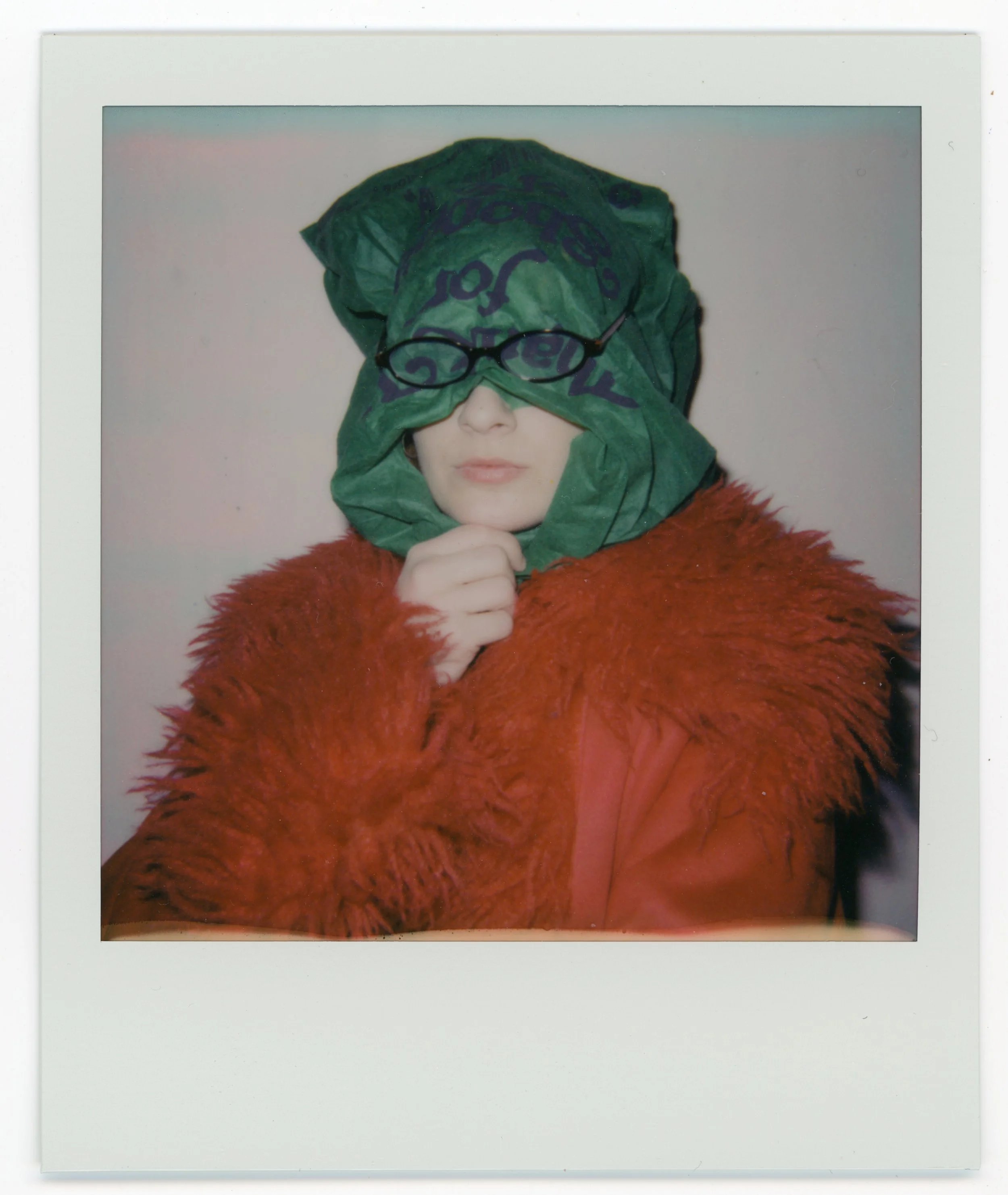 polaroid660_georgie112925-8.jpg