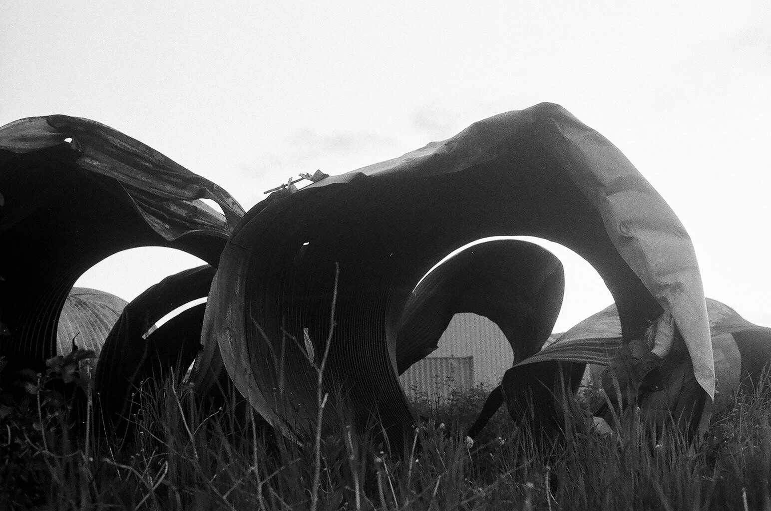 05400007-2 2.jpg