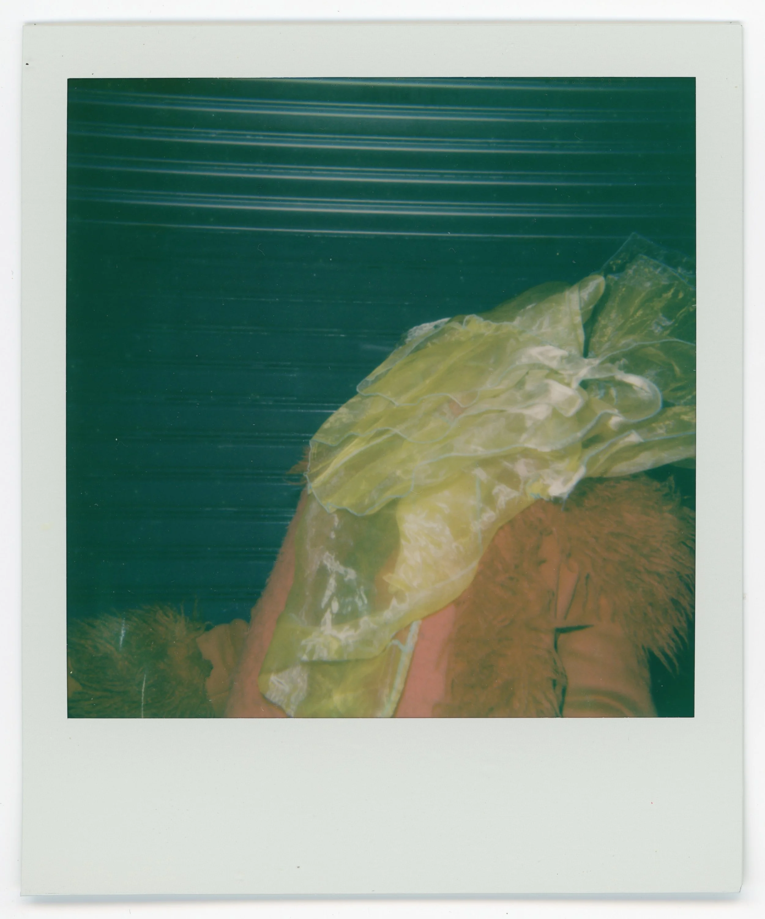 polaroid660_georgie112925-17.jpg