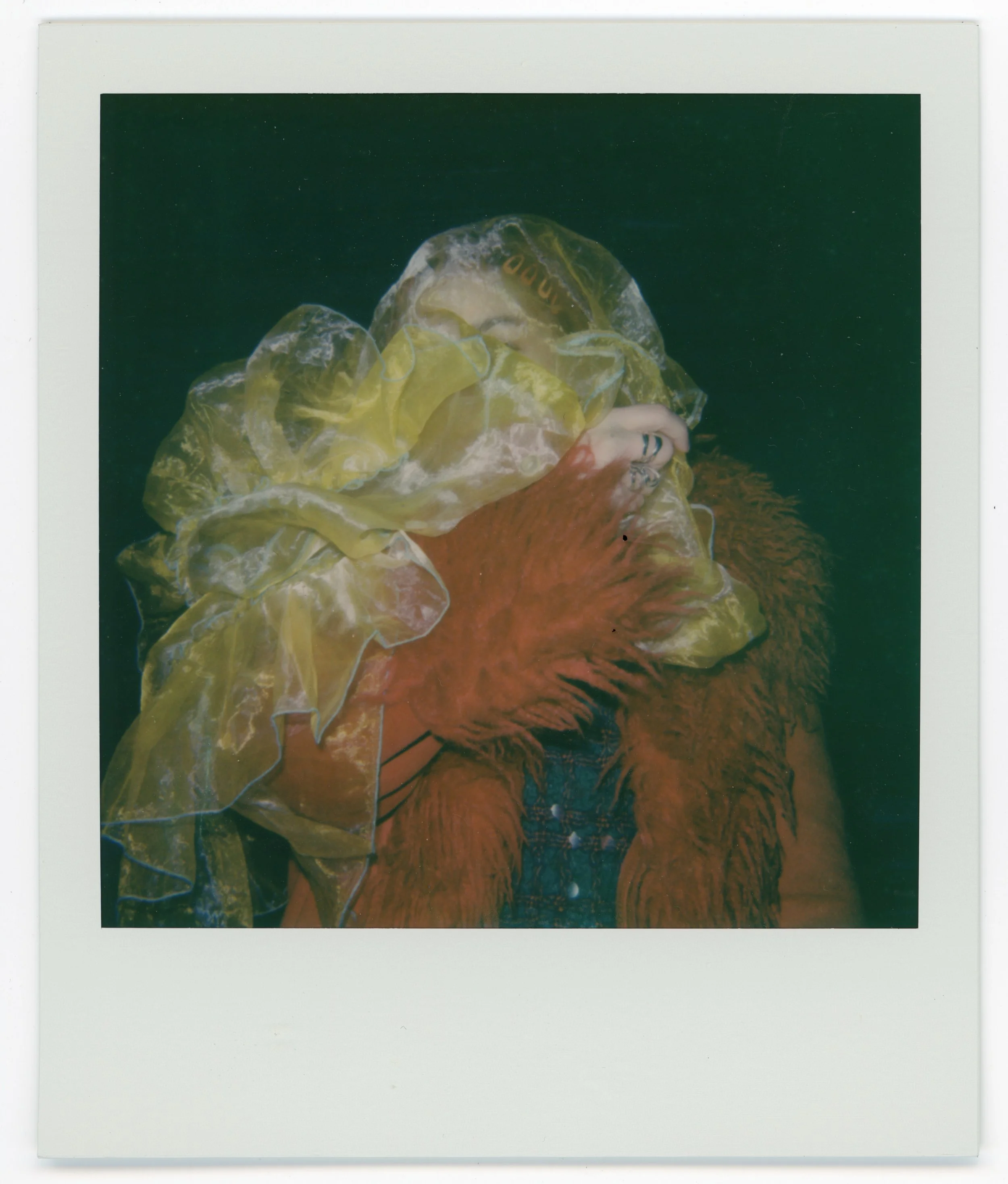 polaroid660_georgie112925-15.jpg