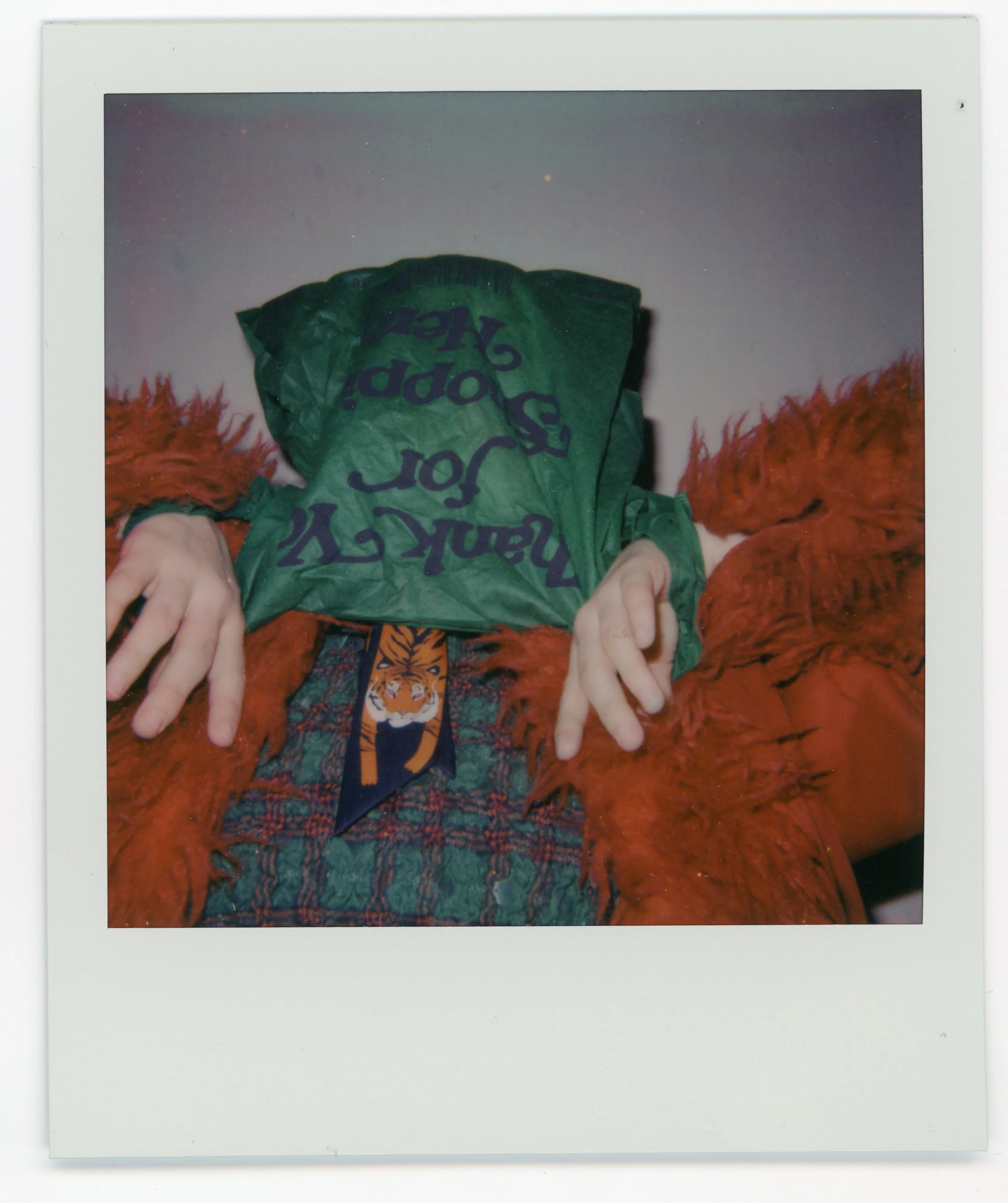 polaroid660_georgie112925-9.jpg