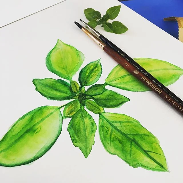 It&rsquo;s basil 🌿 season and I&rsquo;m not mad.