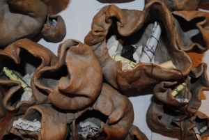 Keepers. detail.