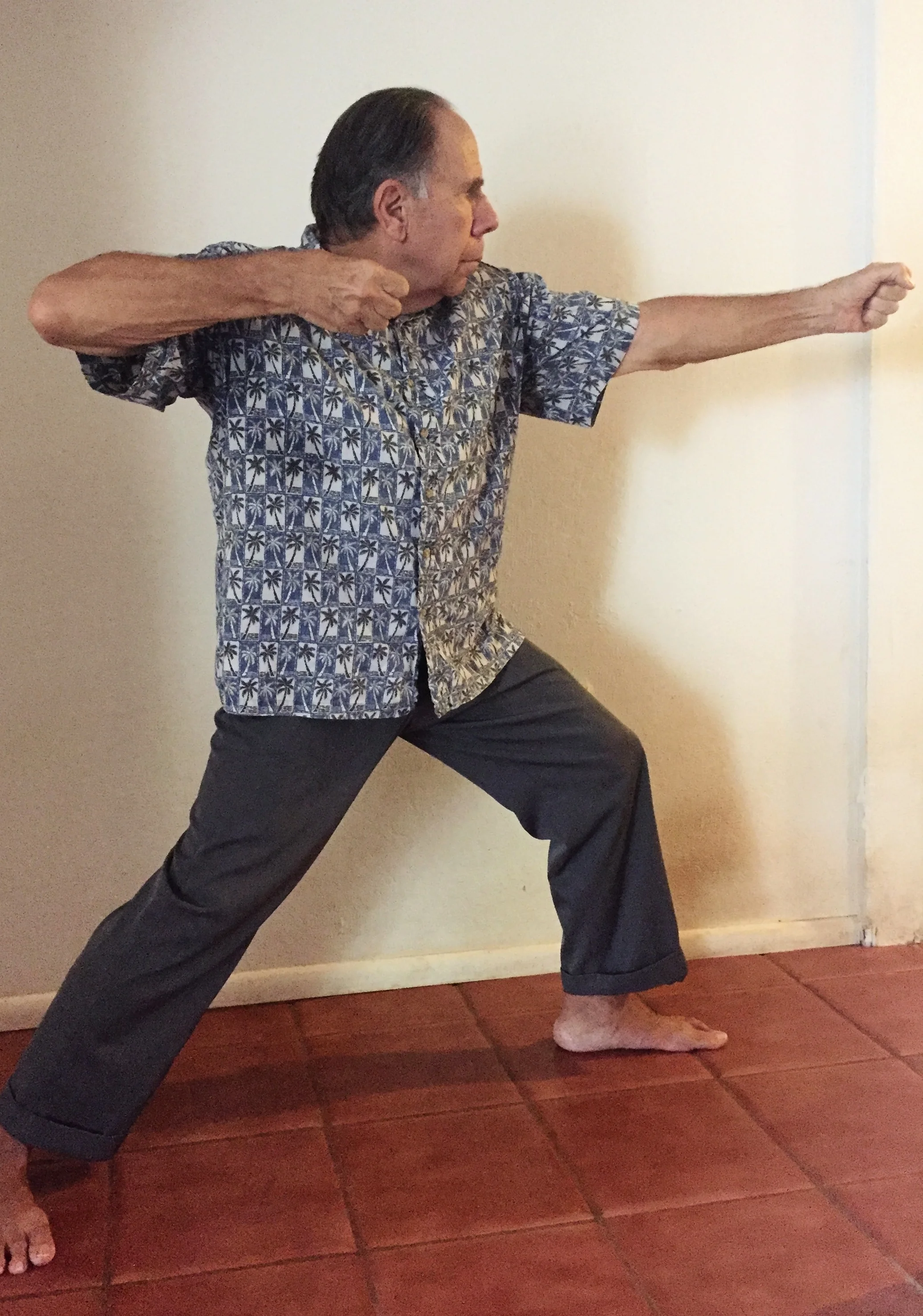 Si Gua Workshop-1 of 4 w/ Dr. Mike Zanoni 