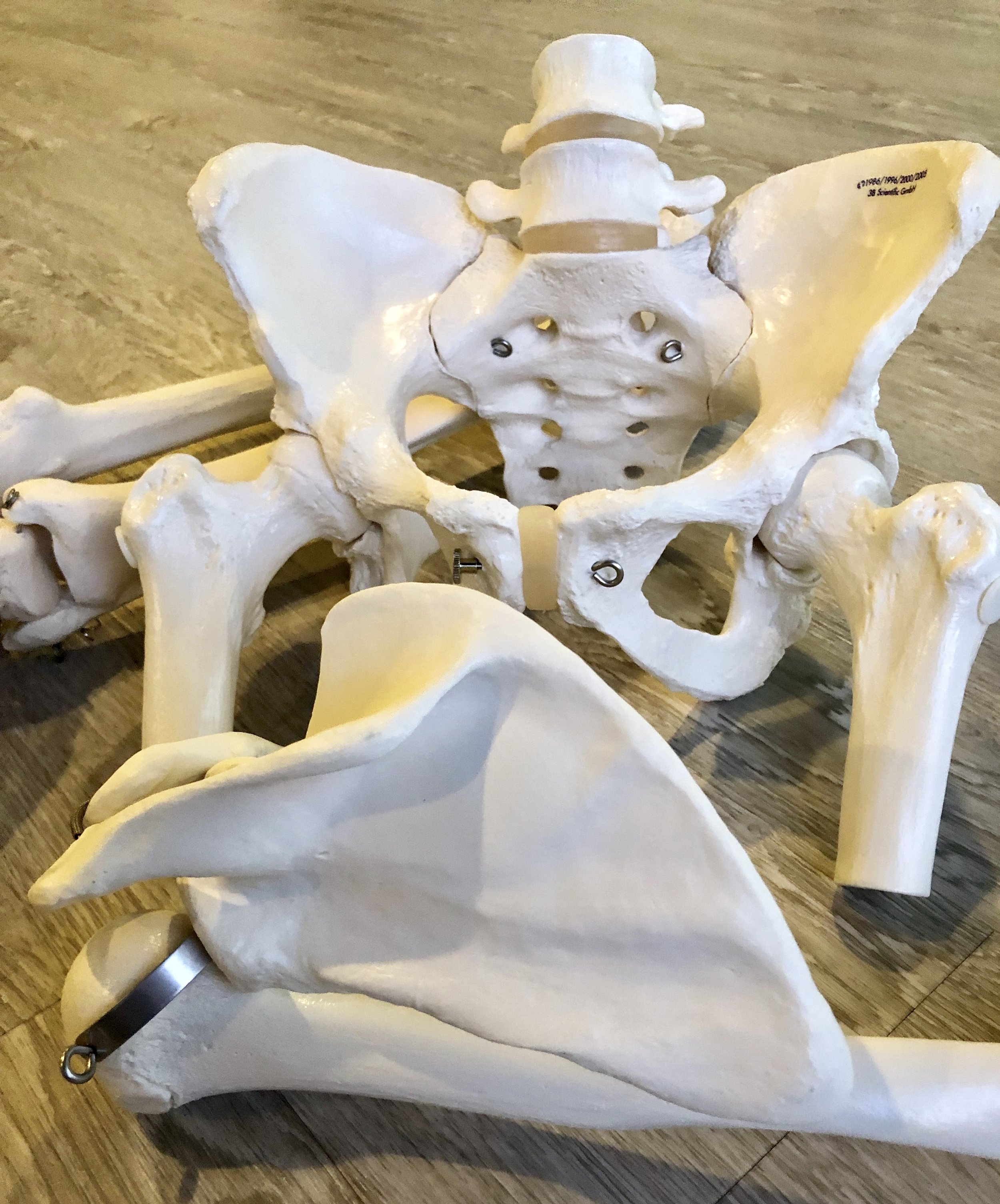 Anatomy Compound Workshop w/ Uwe Herbstreit