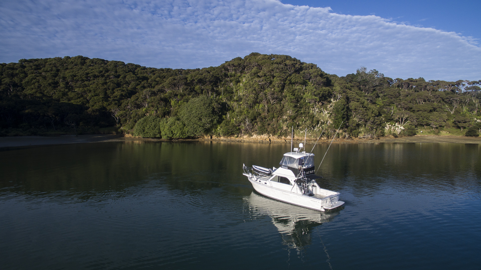 ORCA in Pararako_cloud.jpg