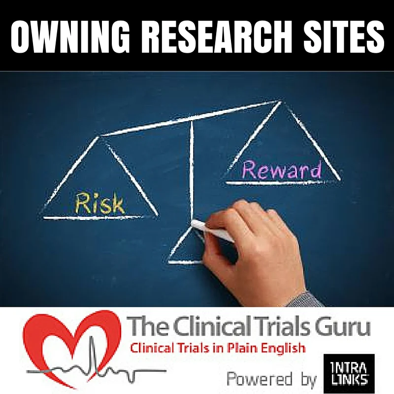 Site owners must be a clear understanding of how each study is affecting the profit.
