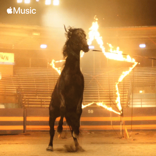 AppleMusicAwards2020-MTS-1x1-24.gif