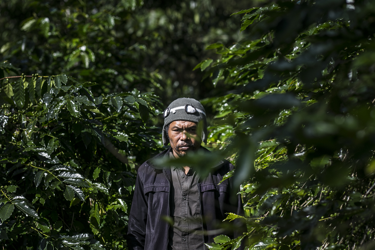 I Ketut Jati, Arabica Kintamani coffee farmer. Bali, Indonesia. 2019