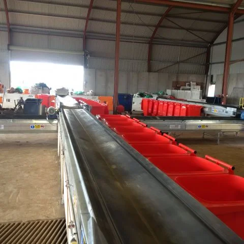Modular conveyors for construction and industrial sites - Easikit 900 - NZ Conveyors.jpg