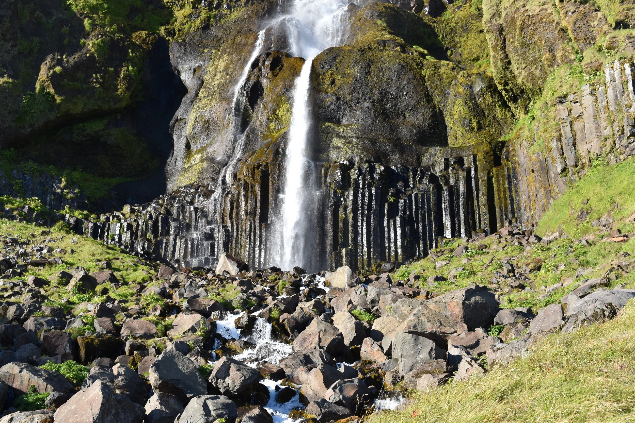 DSC_0790.JPG