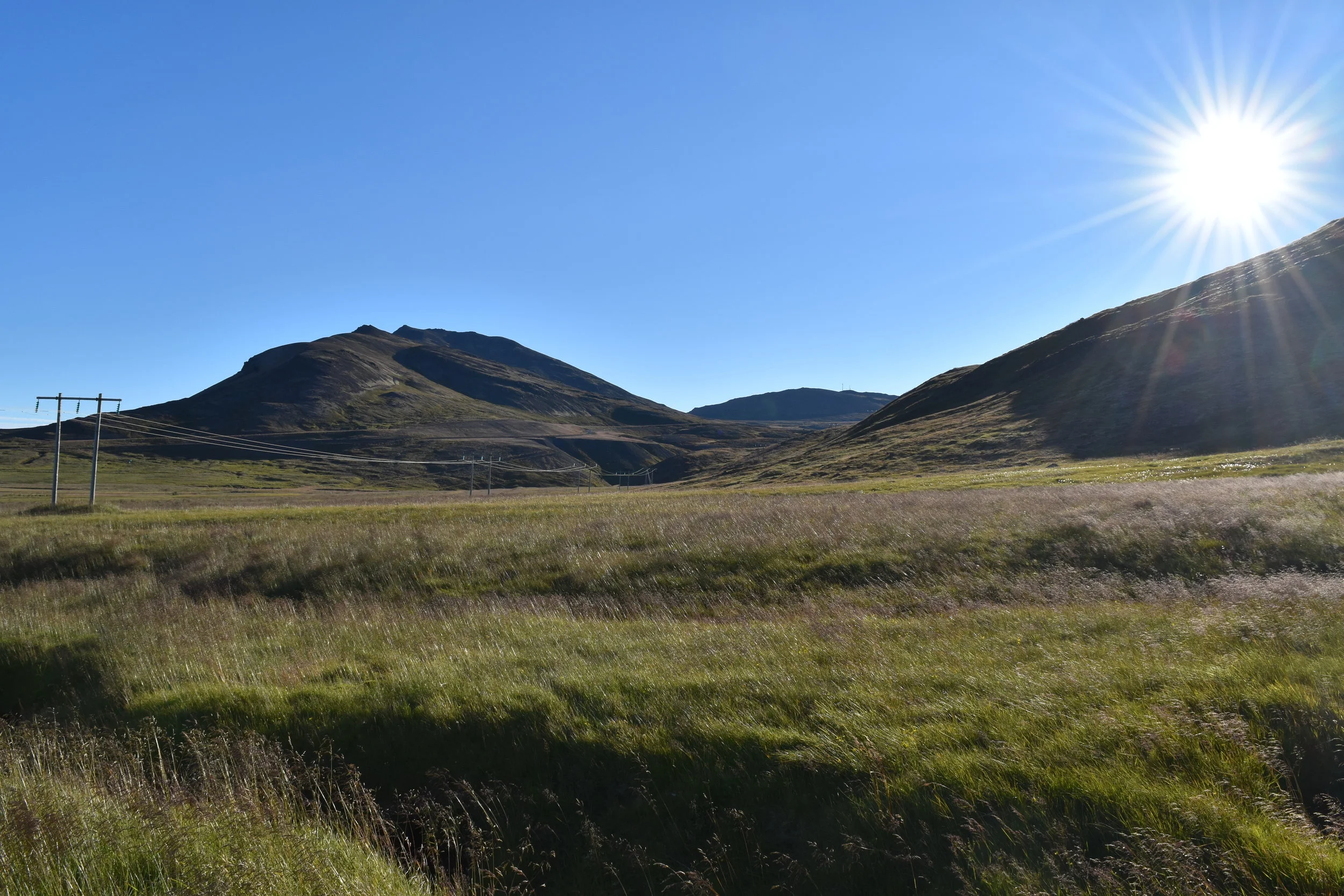 DSC_0802.JPG