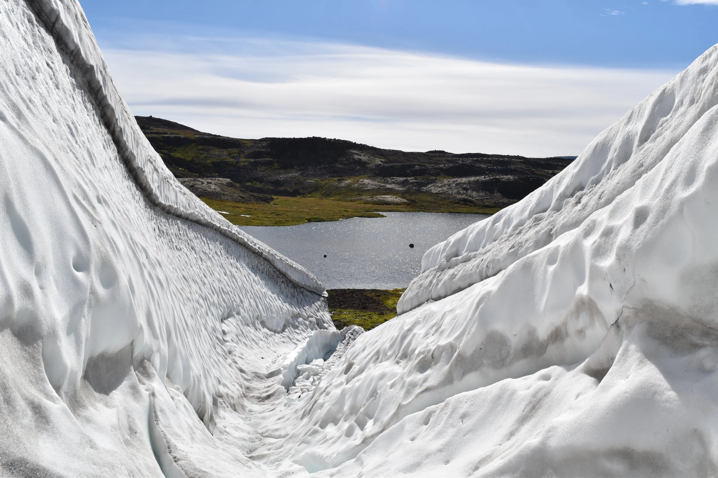 DSC_0921.JPG