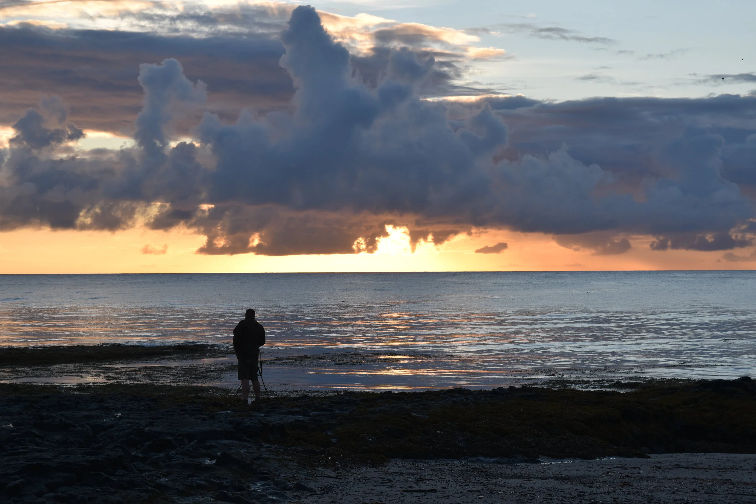 DSC_0235.JPG