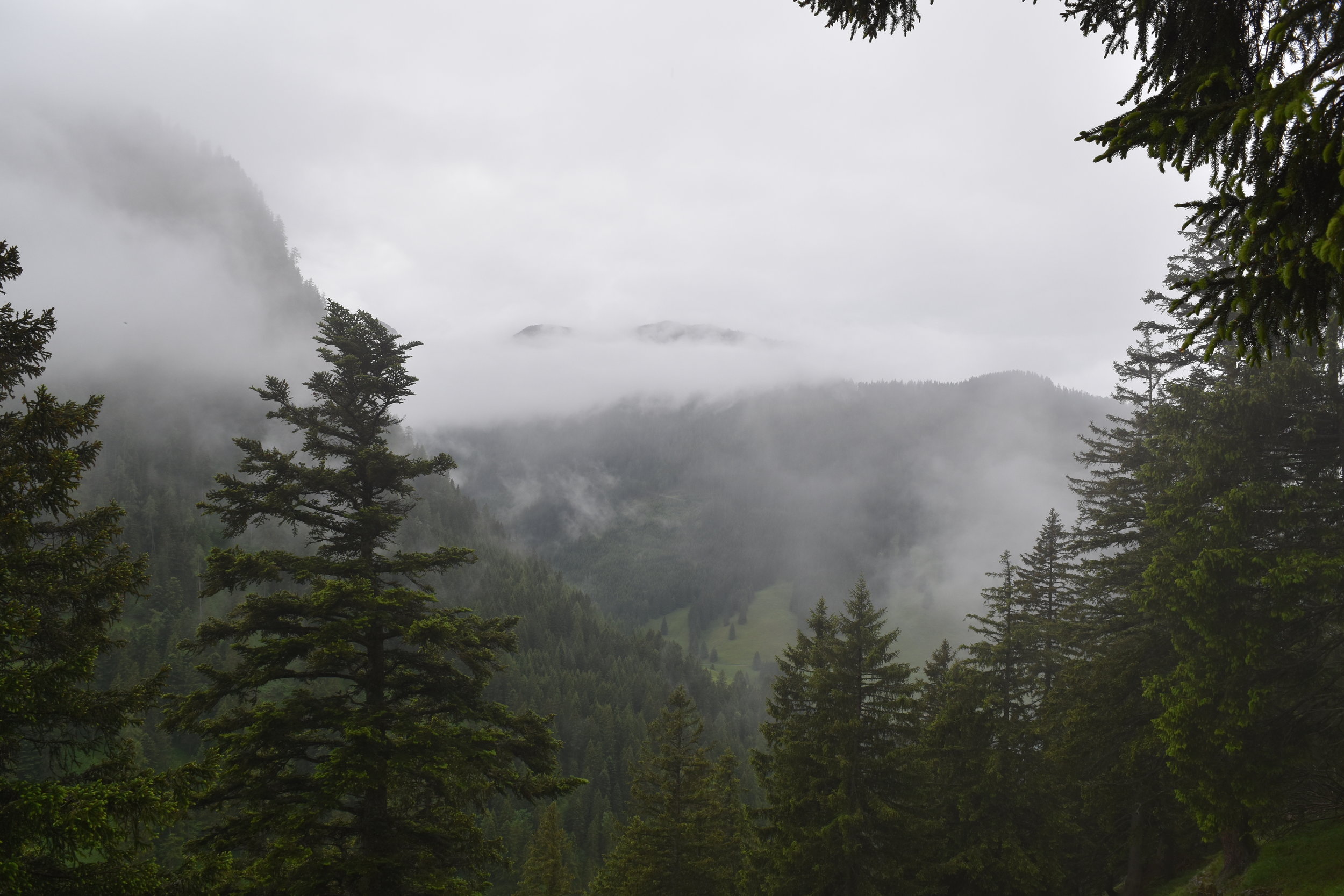 DSC_0371.JPG