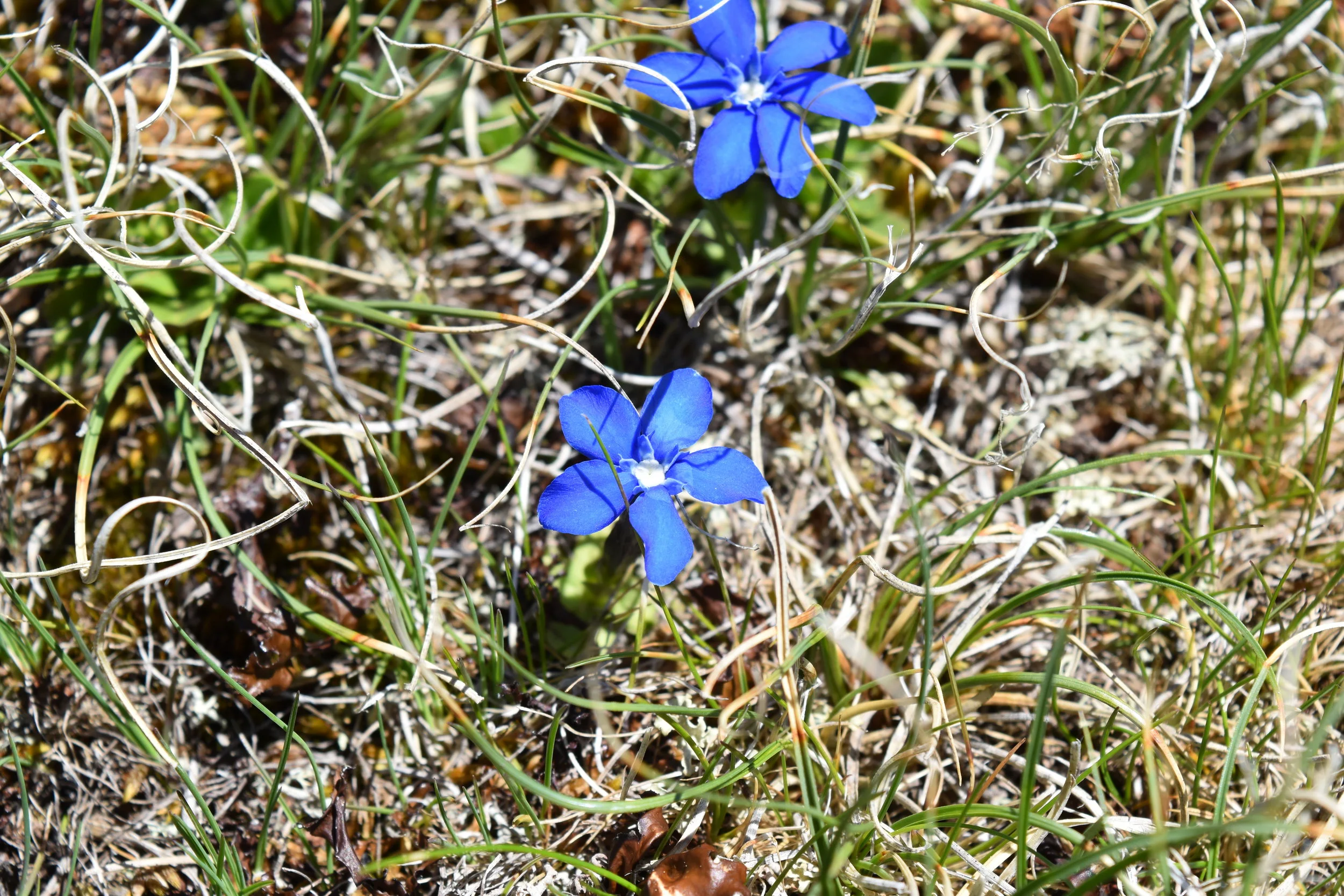 DSC_0424.JPG