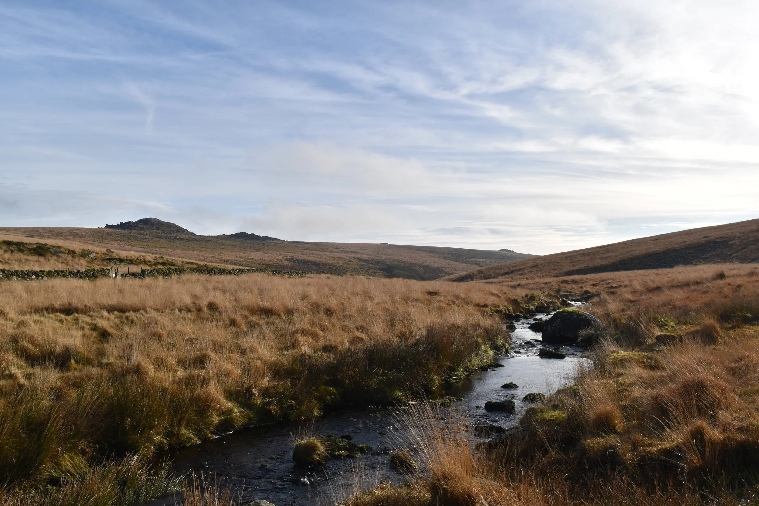 DSC_0445.JPG