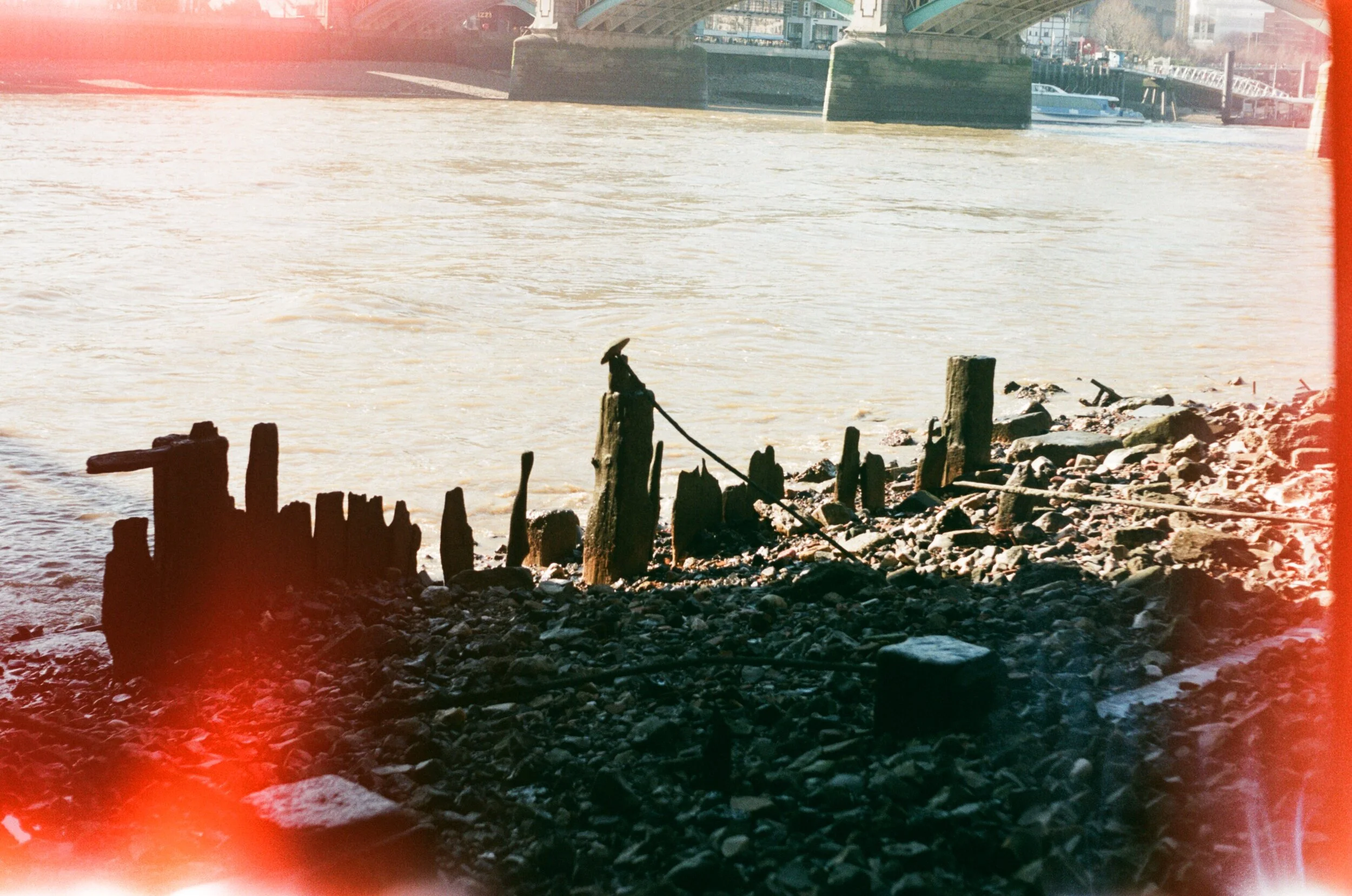 Photograph by Anthony Elliott