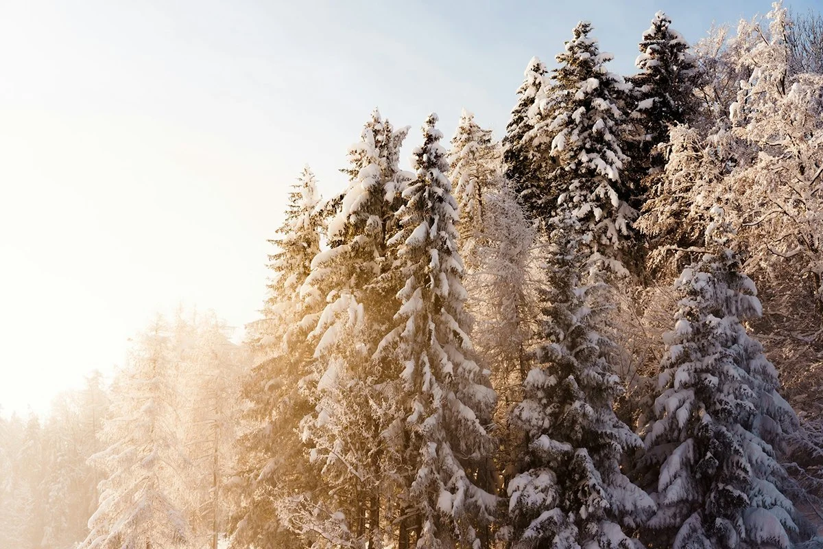 Munkaidőnaptár 2026