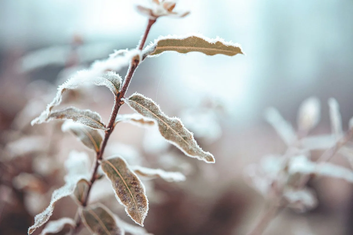 Pályázatok keretében történő foglalkoztatás