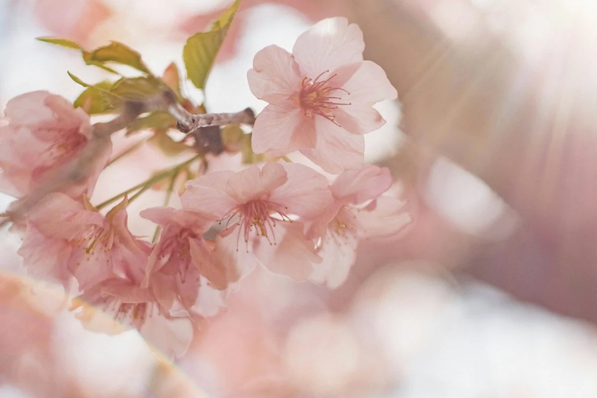 Az alkalmi munka, az egyszerűsített foglalkoztatás és a nyugdíj kapcsolata