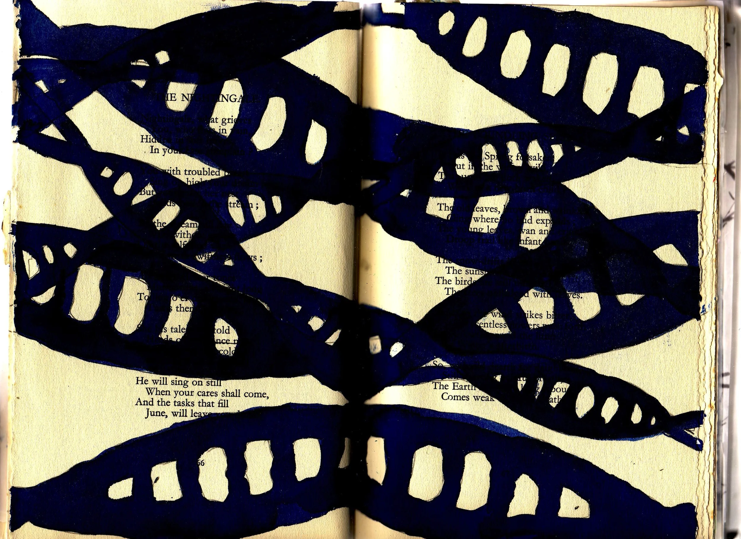 Book scans0014.JPG