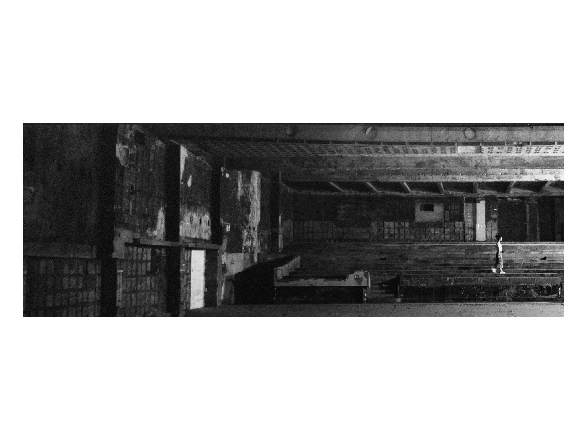 state theatre (film).9.jpeg