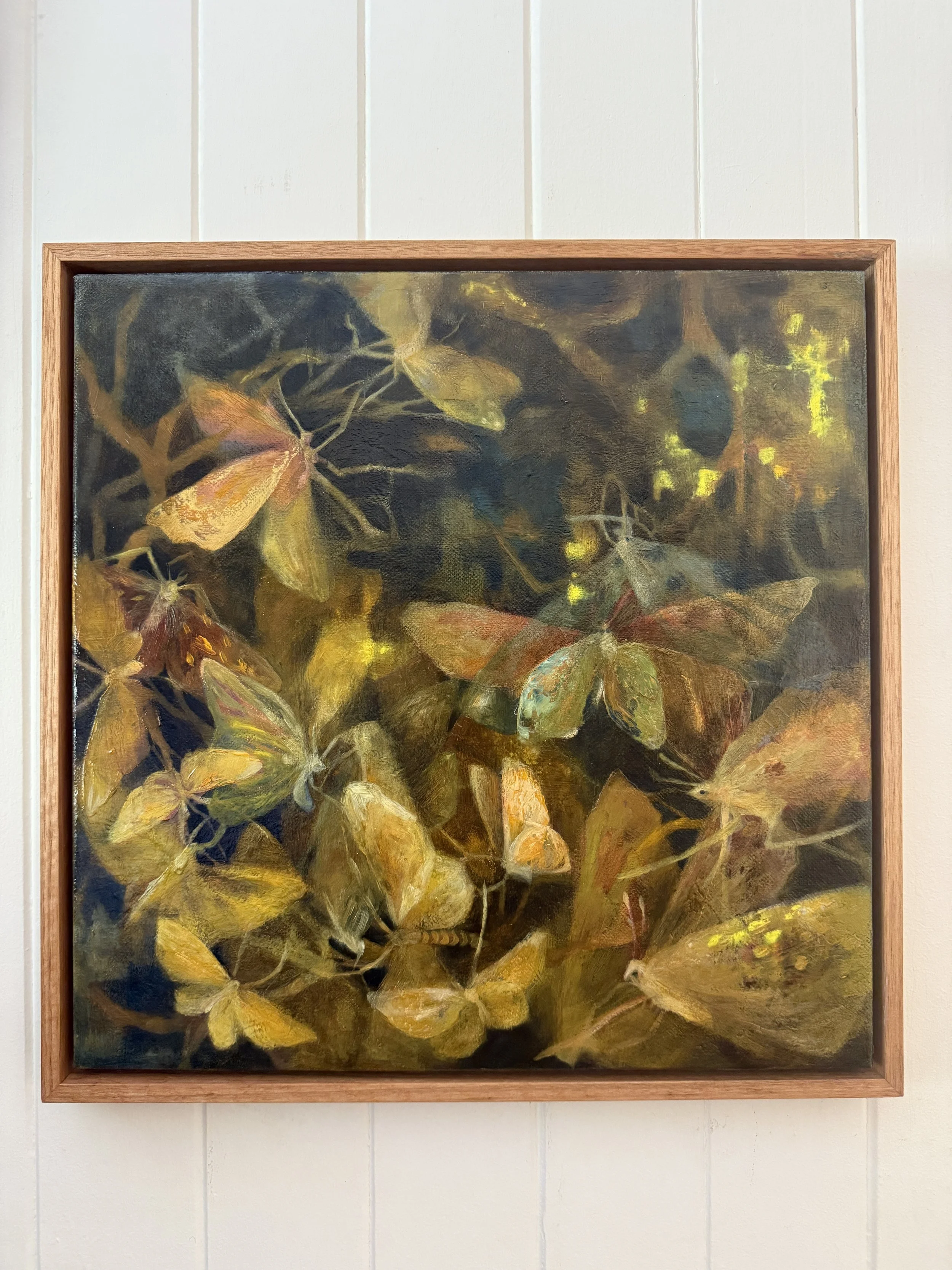 Monica Usher, 'Day of the Moth #2, 2026, oil on linen, 43 x 43cm (framed)
