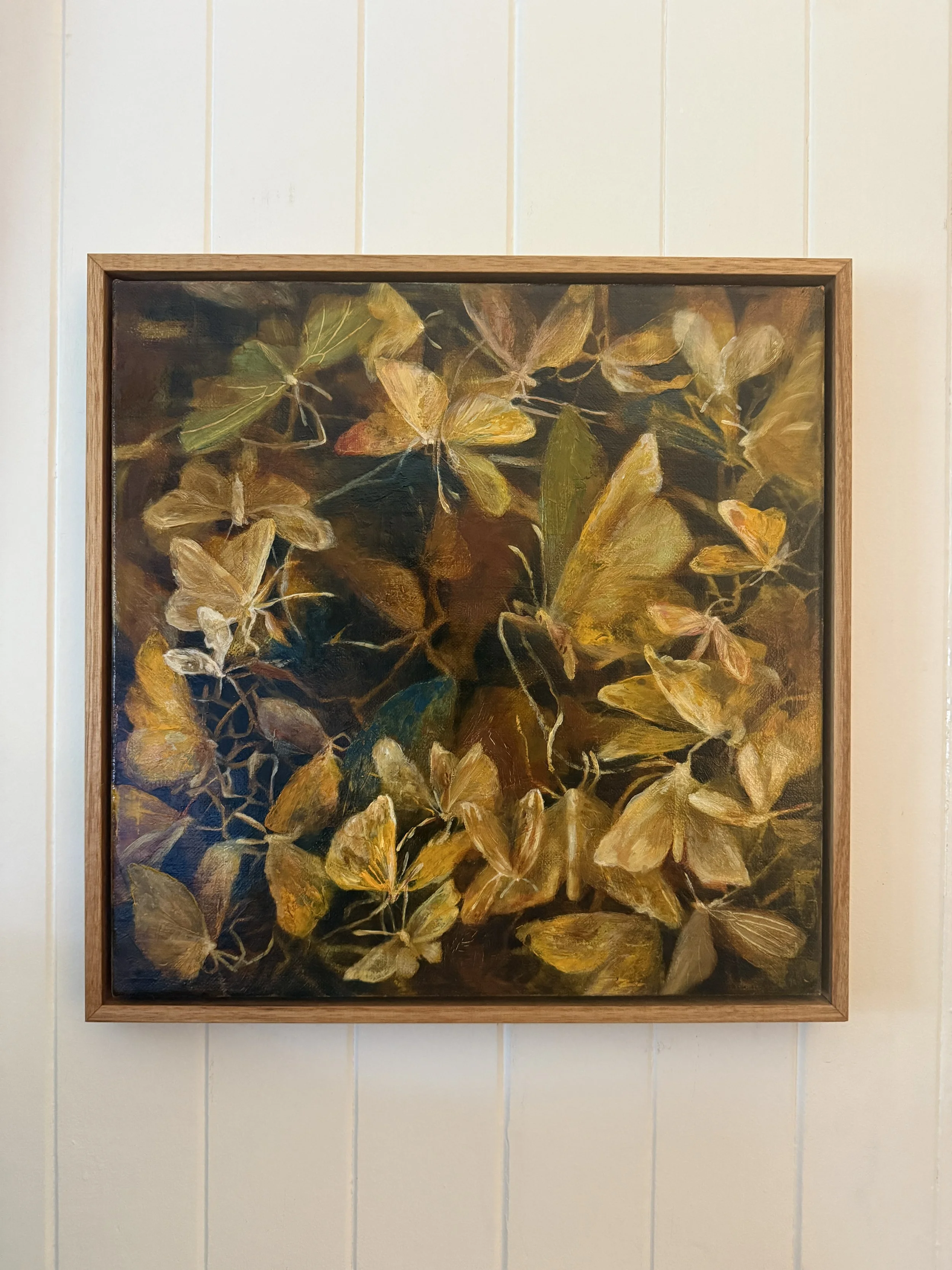 Monica Usher 'Day of the Moth #1, 2026, oil on linen, 43 x 43cm (framed)