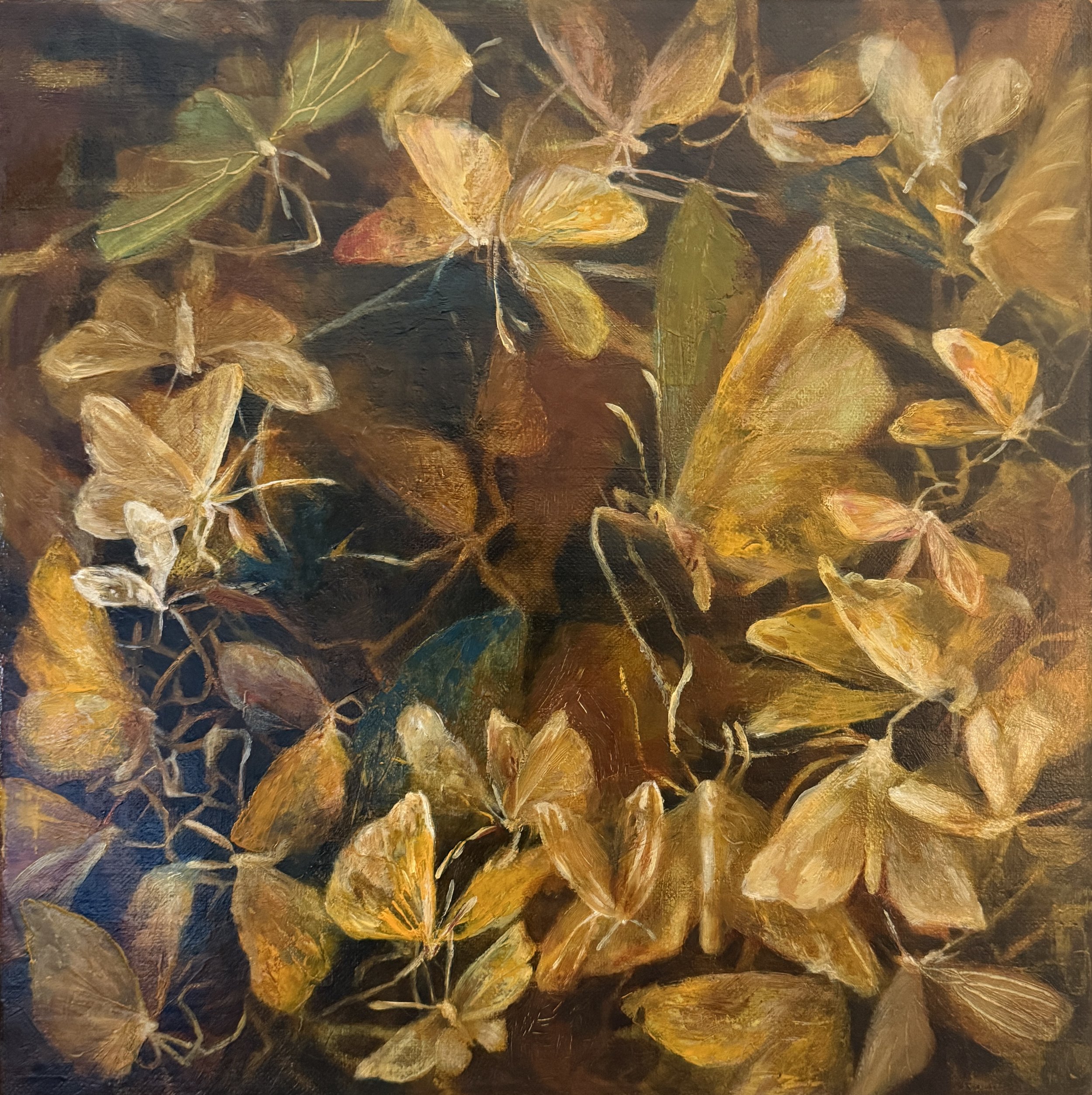 Monica Usher 'Day of the Moth #1, 2026, oil on linen, 43 x 43cm (framed)