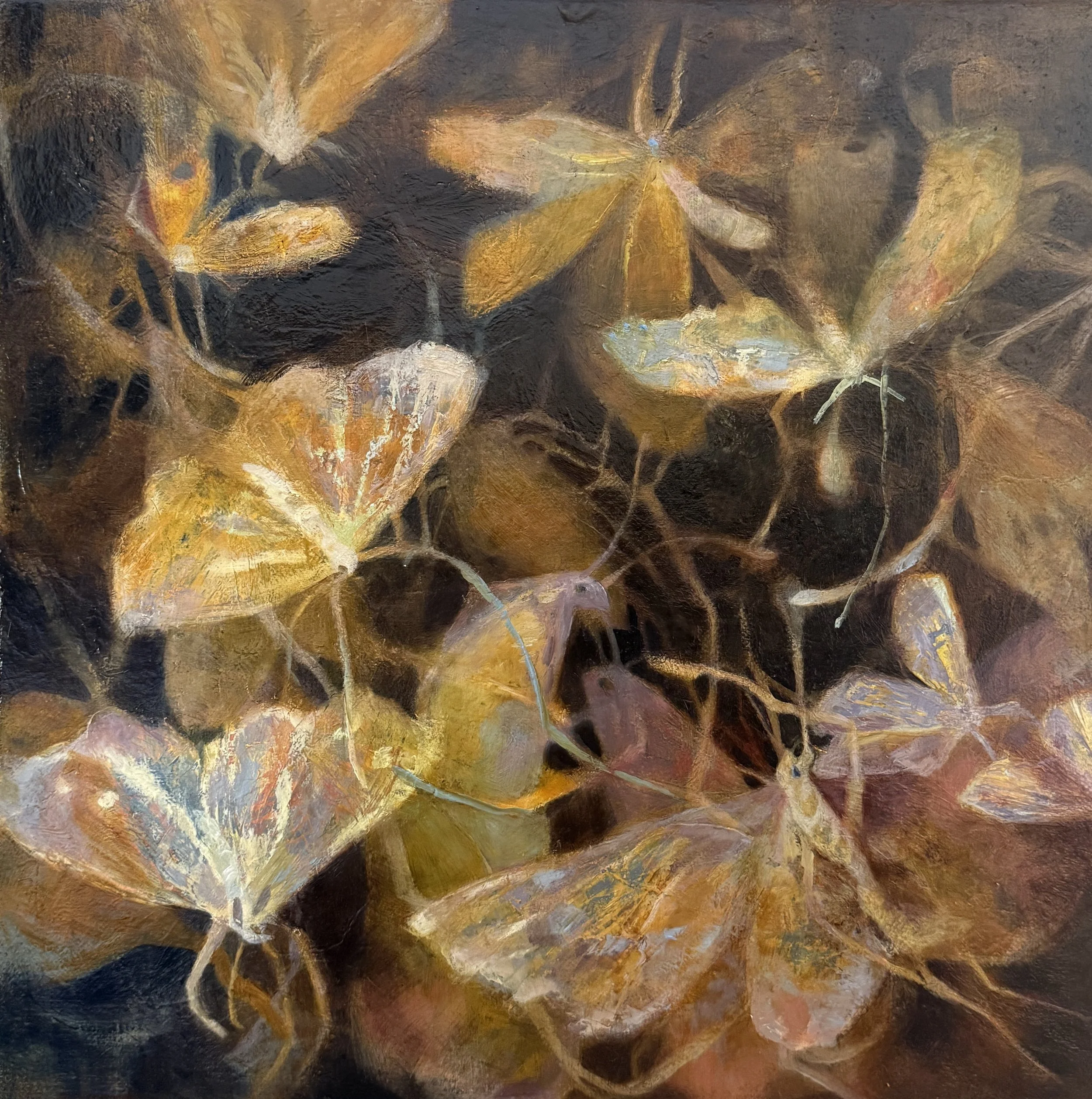 Monica Usher 'Day of the Moth #3' 2026, oil on canvas, 43 x 43cm (framed)