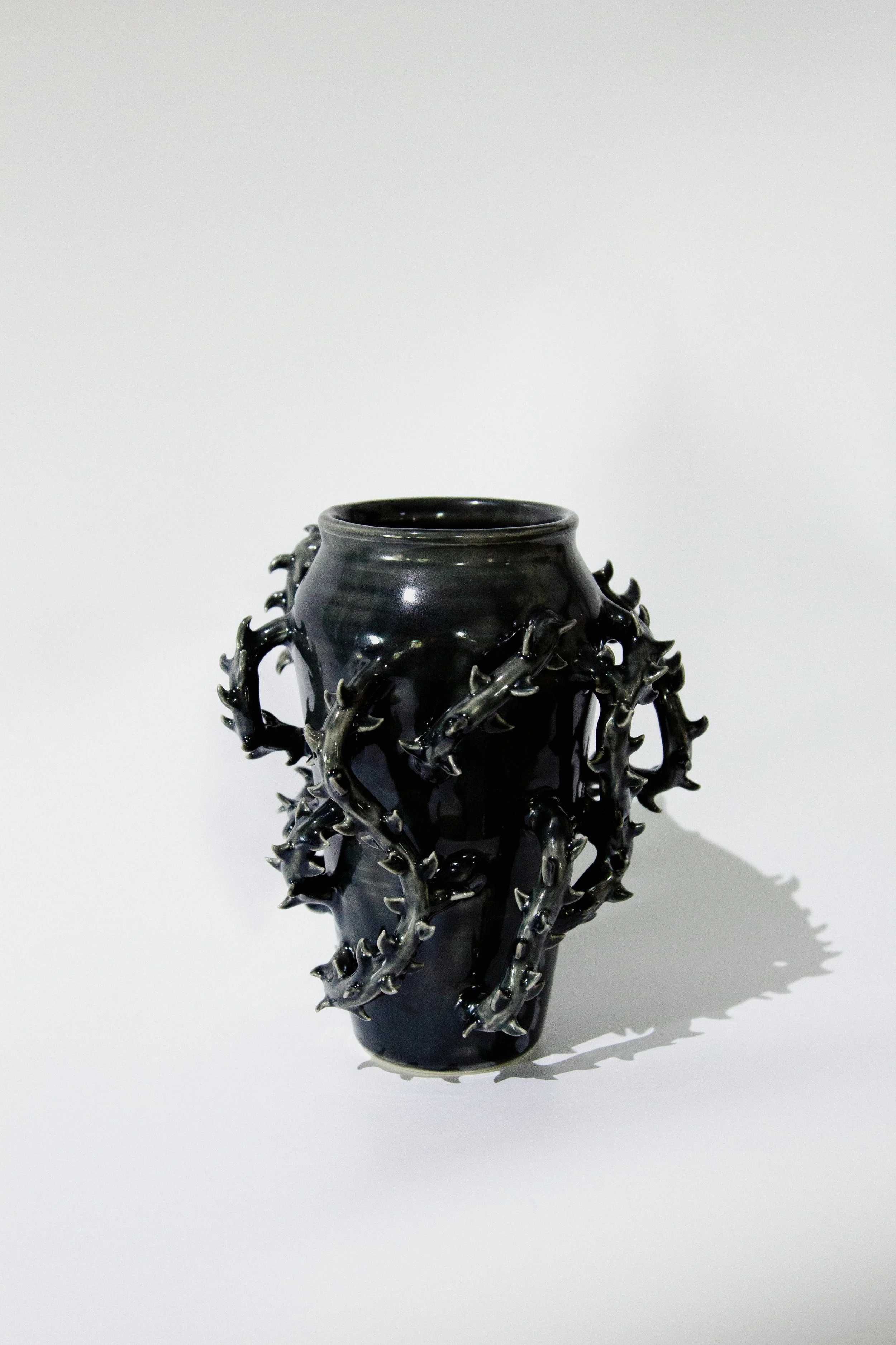 WIldGardenVessel(Black).jpg