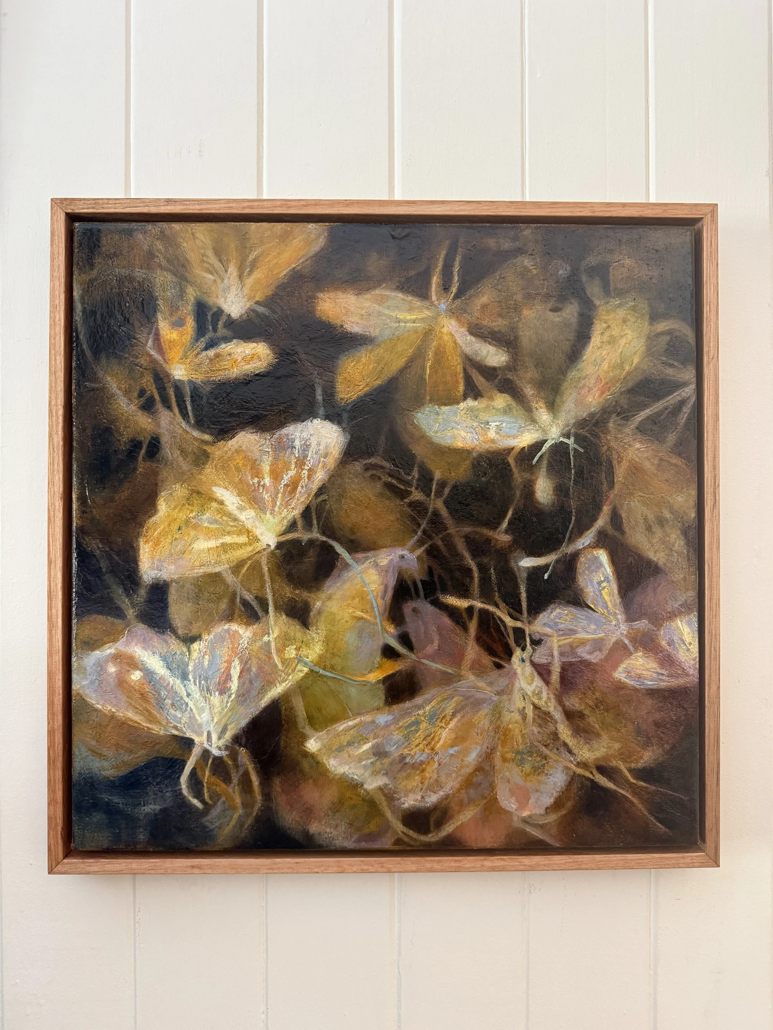 Monica Usher 'Day of the Moth #3' 2026, oil on canvas, 43 x 43cm (framed)