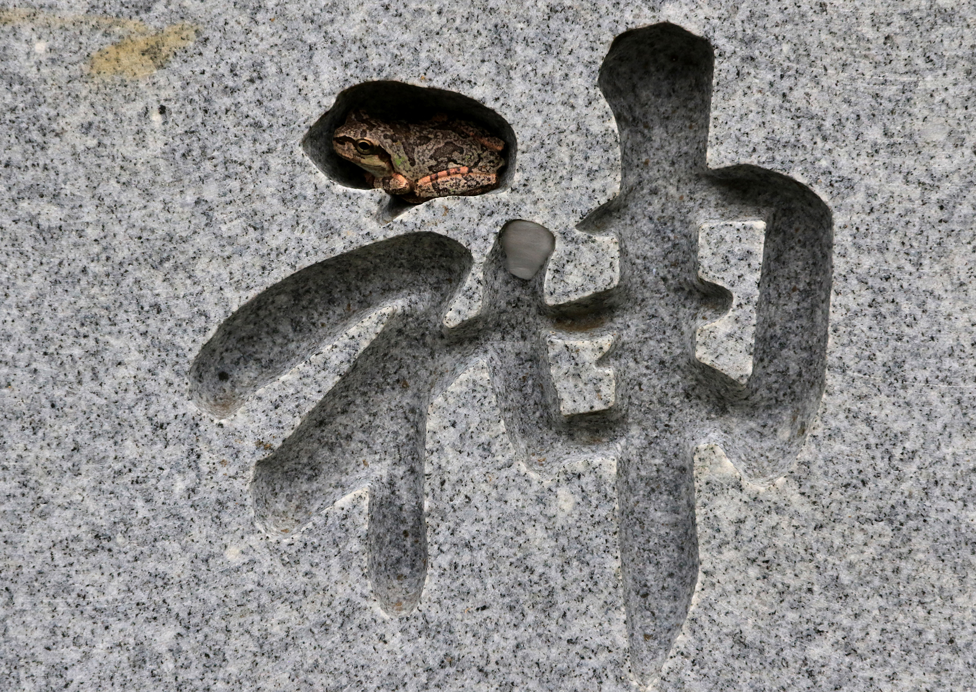 IMG_4359-2_さいたま市ユーモアフォトコンテスト_優秀賞_私の住まい.jpg