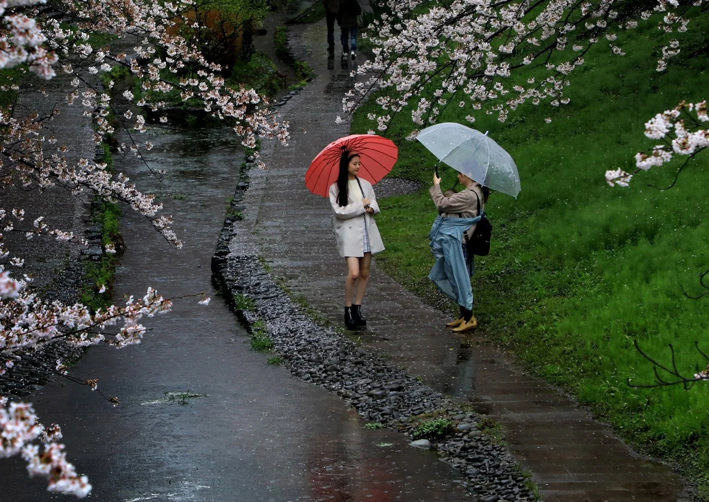 小嶋　典生 - 雨のせせらぎ緑道