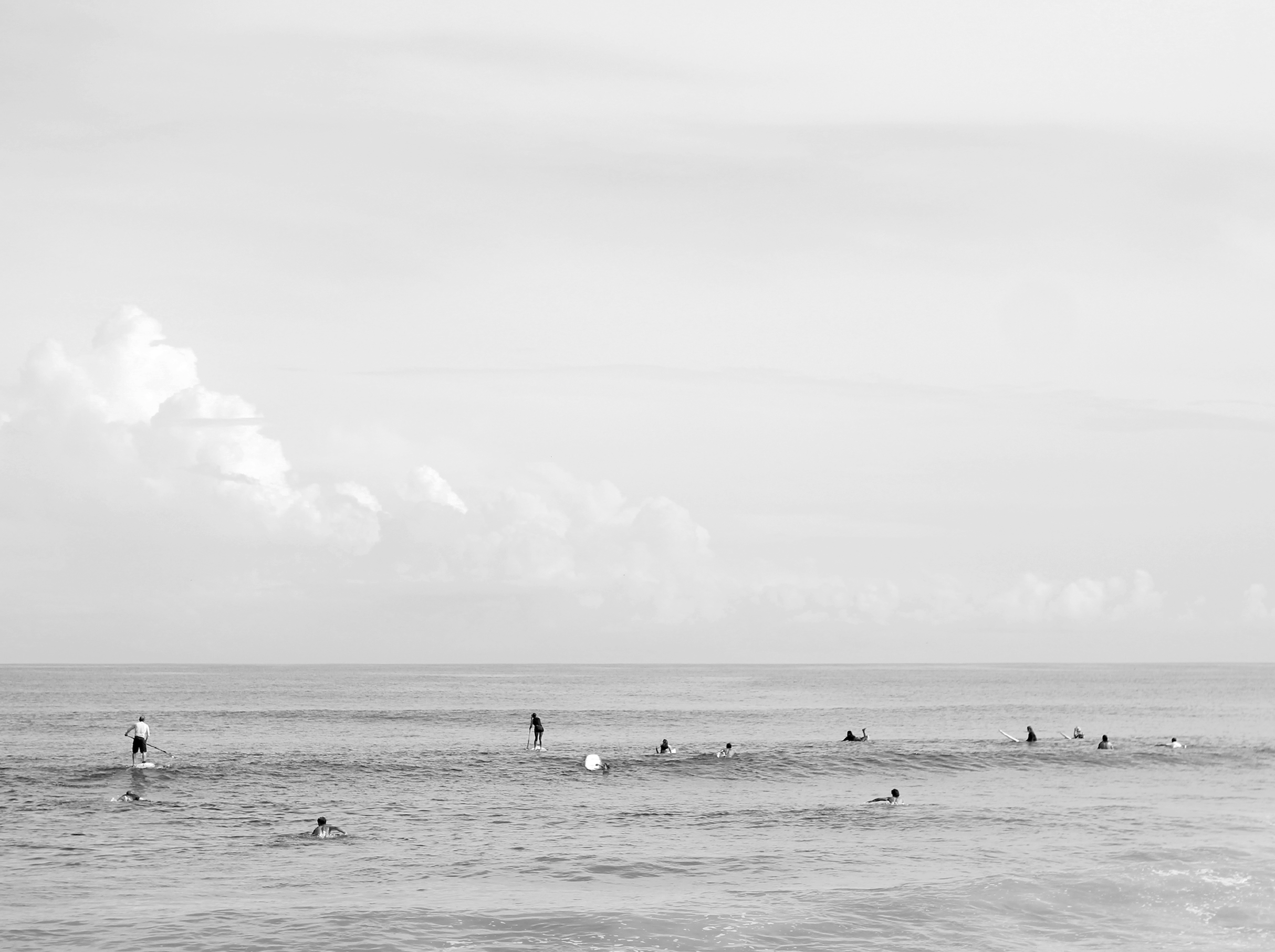 Screen Shot 2023-02-20 at 8.19.01 PM.png