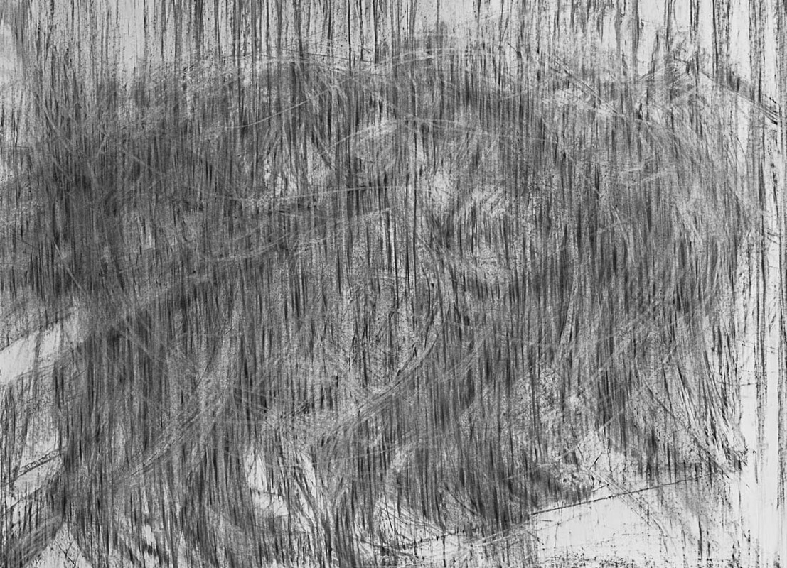 Caged (The Extinction of the Image), 2014